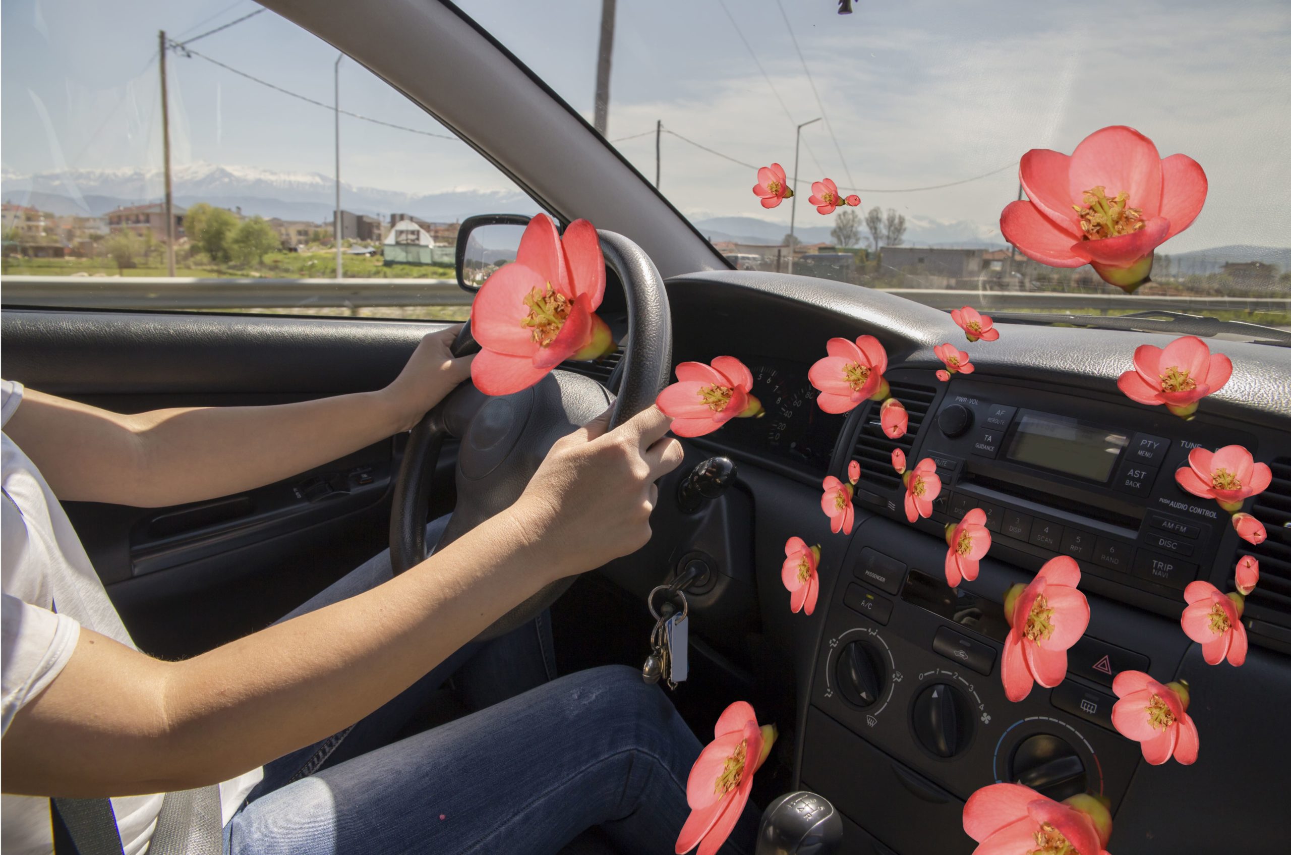 car air freshener is inevitable